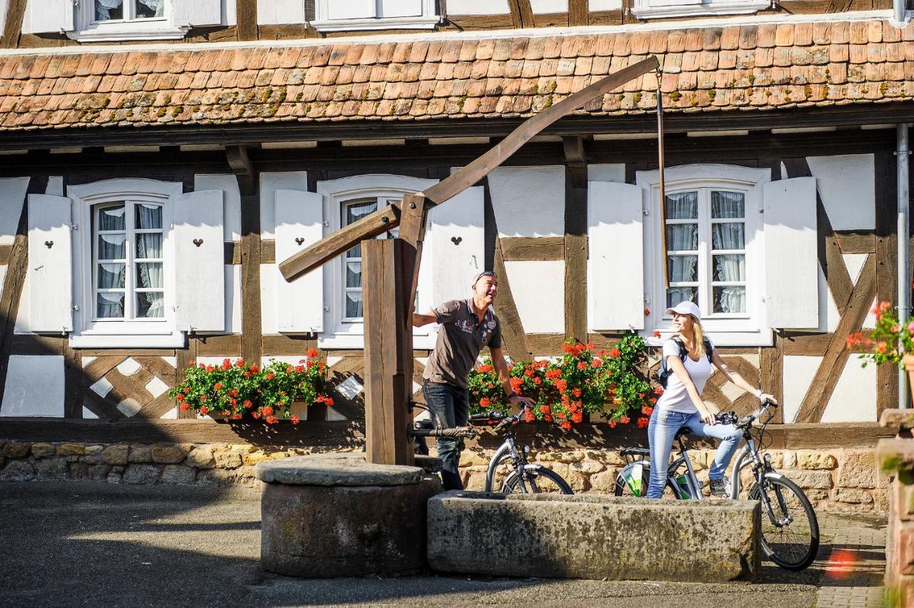 Gites Et Chambres D'Hotes Maison Ungerer Hunspach Екстер'єр фото