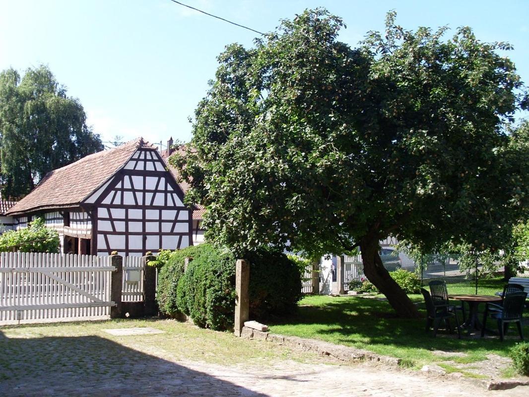 Gites Et Chambres D'Hotes Maison Ungerer Hunspach Екстер'єр фото