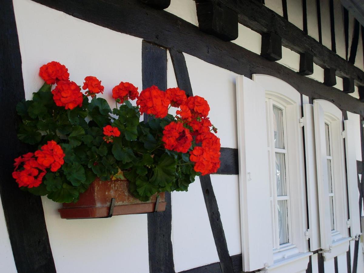 Gites Et Chambres D'Hotes Maison Ungerer Hunspach Екстер'єр фото
