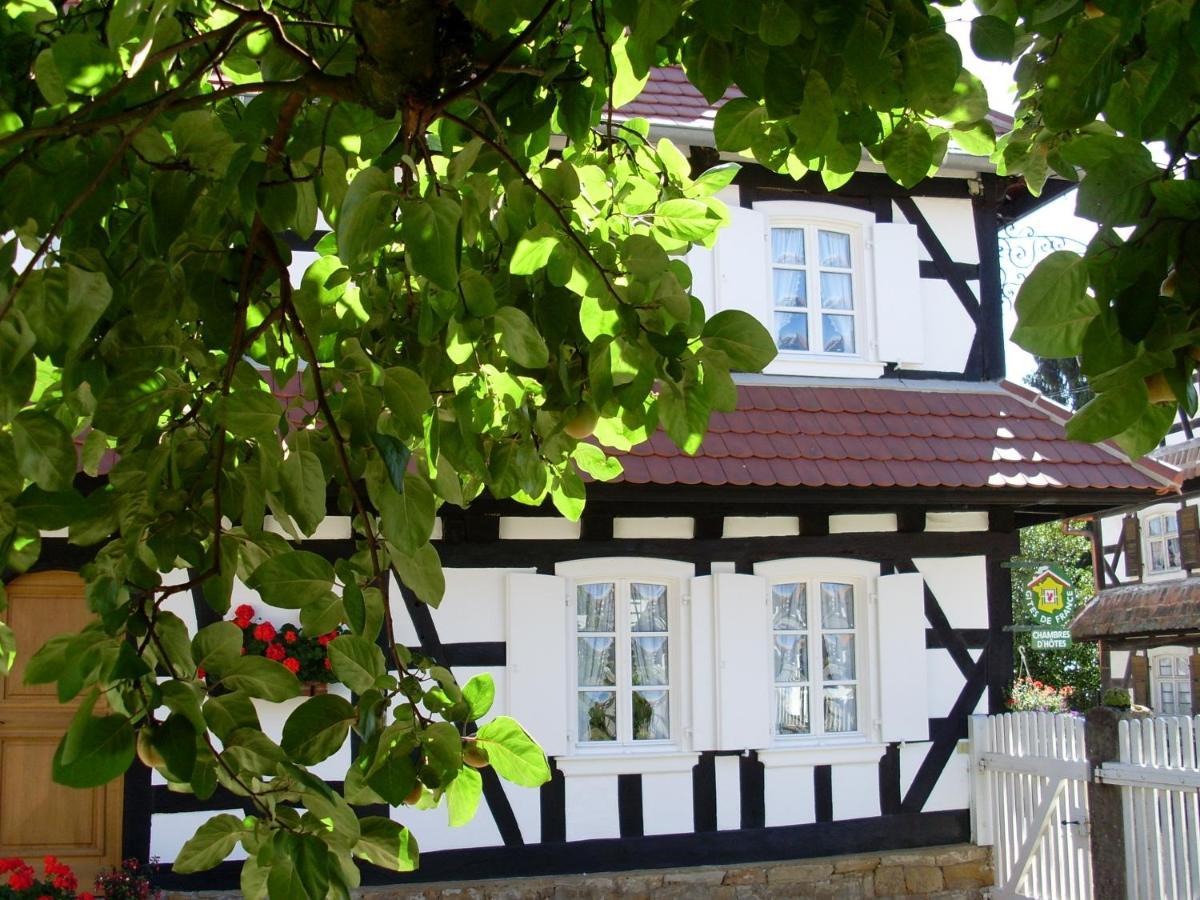 Gites Et Chambres D'Hotes Maison Ungerer Hunspach Екстер'єр фото