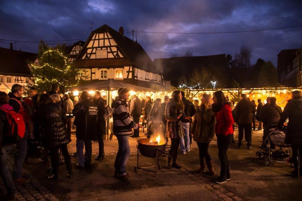 Gites Et Chambres D'Hotes Maison Ungerer Hunspach Екстер'єр фото