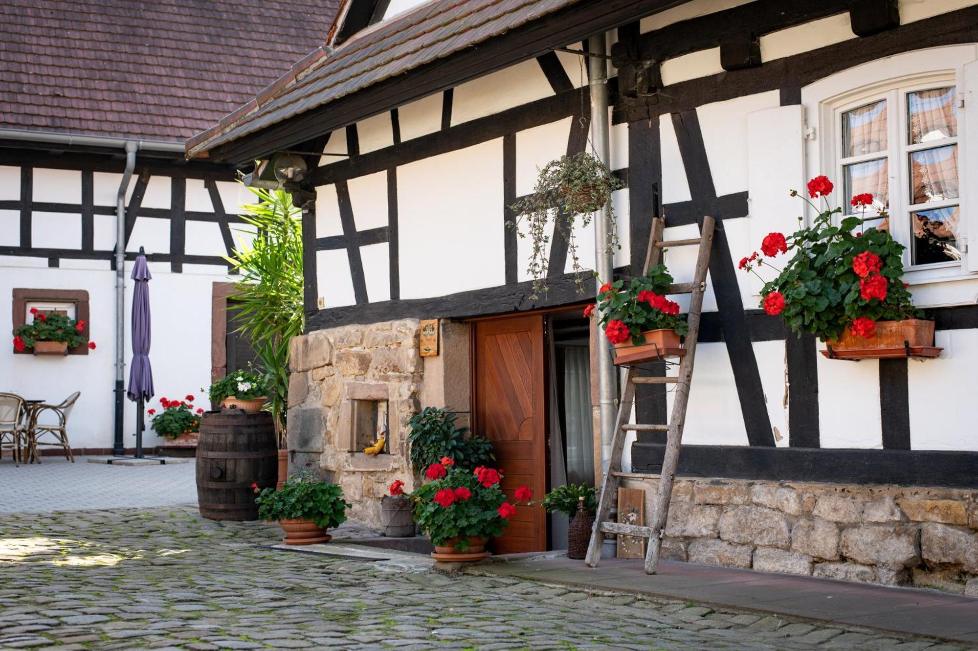 Gites Et Chambres D'Hotes Maison Ungerer Hunspach Екстер'єр фото
