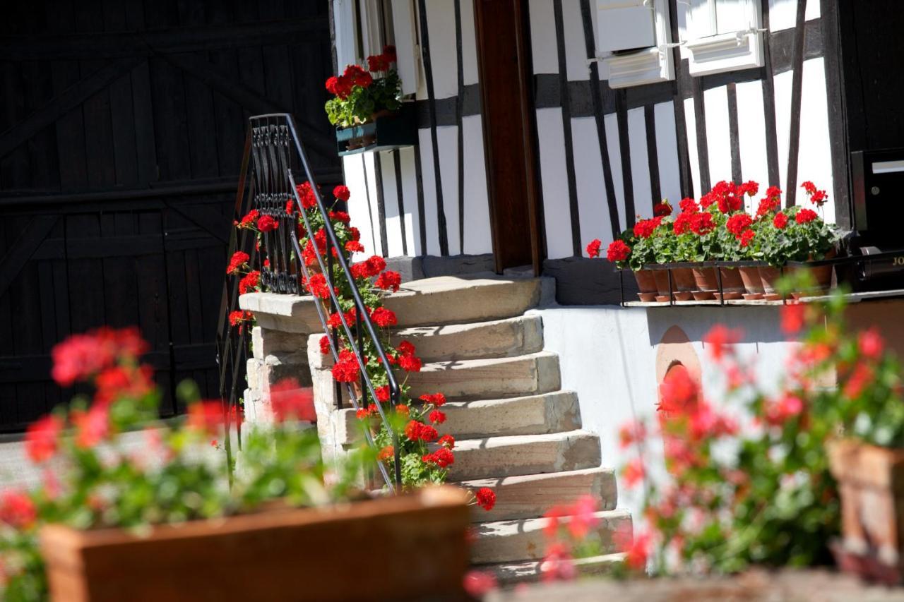 Gites Et Chambres D'Hotes Maison Ungerer Hunspach Екстер'єр фото